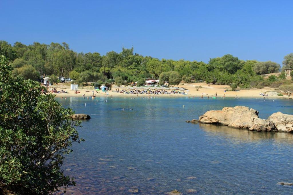 קאטו דרטסו Poseidon Apartments מראה חיצוני תמונה